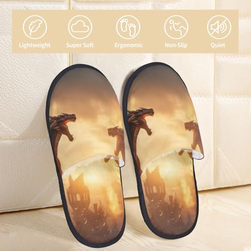 Castle Cool Fire Dragon Print Women Slippers Home Furry Shoes Keep Men Couples Shoes Warm For Women-3
