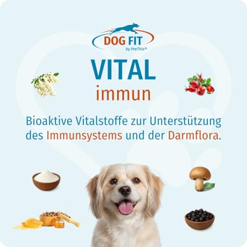 DOG FIT by PreThis® VITAL immun für Hunde I Mit Colostrum, Agaricus Blazei Murrill, Hagebuttenextrakt, Shilajit, Propolis I Ohne künstliche Zusätze I small bis 10kg