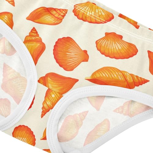 Shell Toddler Girls's Underwear 2T 23028954