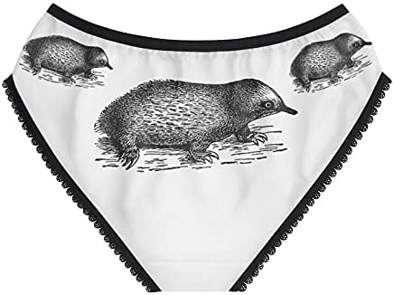 Echidna Panties, Echidna Underwear, Briefs, Cotton Briefs, Funny Underwear, Panties For Women