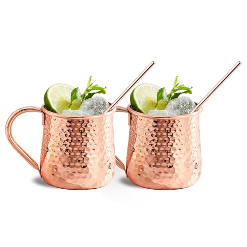 KITESSENSU Moscow Mule Mugs Set of 2 | 18 oz Hammered Copper Mule Mugs with Straws Keep Cocktails Well-Chilled, Copper Cups for Drinking Cocktails, 18/8 Stainless Steel Lined & Dishwasher Safe Barware