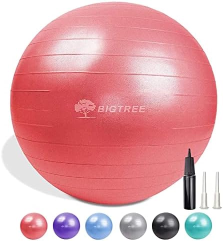 Exercise Ball, Yoga Ball Balance Pilates Anti-Burst with Pump Stability Fitness Ball Birthing Chair for Workout Core Training Office Home Gym Physical Therapy Pregnancy (55cm, Red)