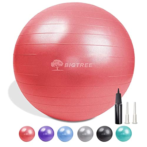 Exercise Ball, Yoga Ball Balance Pilates Anti-Burst With Pump Stability Fitness Ball Birthing Chair For Workout Core Training Office Home Gym Physical Therapy Pregnancy (55Cm, Red) #TOP1