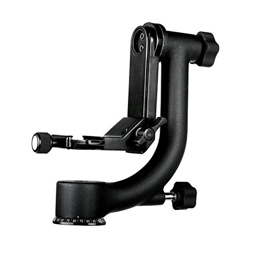 Benro Testa pendolare GH2 + LensCoat