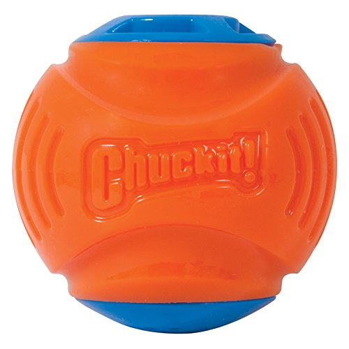 Chuckit! Locator Sound Ball, Medium