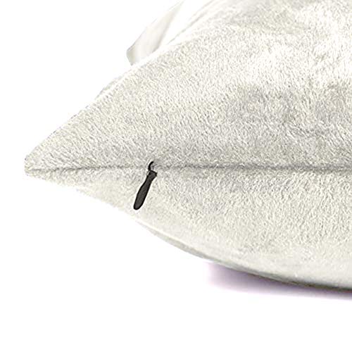 Encasa Homes Set 2 pezzi di coperture