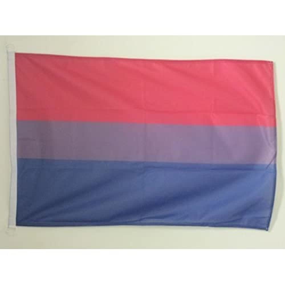 AZ FLAG Bisexuel Boat Flag 45x30 cm Mesh Polyester Plastic Rings — image 1