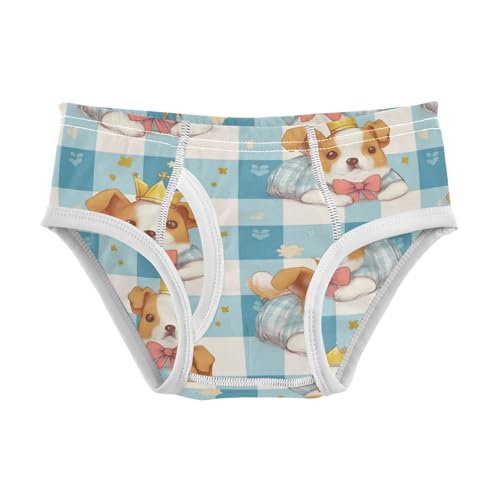 Wusikd Lying Dog Boys' Underwear Cotton Blue White Plaid Boys Briefs Soft Toddler Underwear 2T