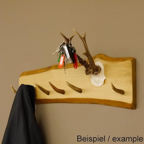 GTK - Geweihe & Trophäen KRUMHOLZ Geweih Garderobe mit 6 Haken aus Hirschspitzen auf Holzbrett Rehgeweih Wandgarderobe Unikat 27.8.99