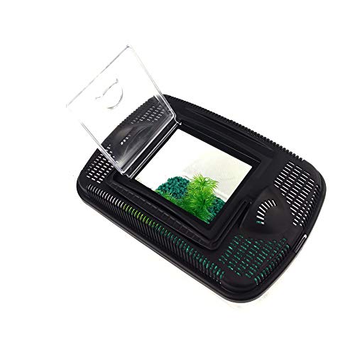 AquaEl Betta Kit avec filtration douce et éclairage LED intégré - 3
