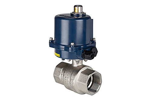 RIEGLER 103705-350.2815R - Válvula de bola de latón de 2 vías, actuador eléctrico, 24 V CC, Rp 2, 1 unidad
