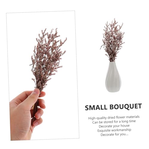 Ramo pequeño de flores secas Gypsophila para decoración miniatura 2