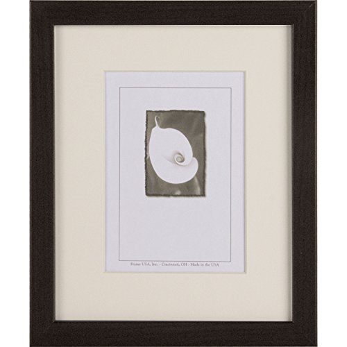 Frame USA True Depth Series 11x14 Poplar Wood Frames for Art and Canvas (Brazilian Walnut)