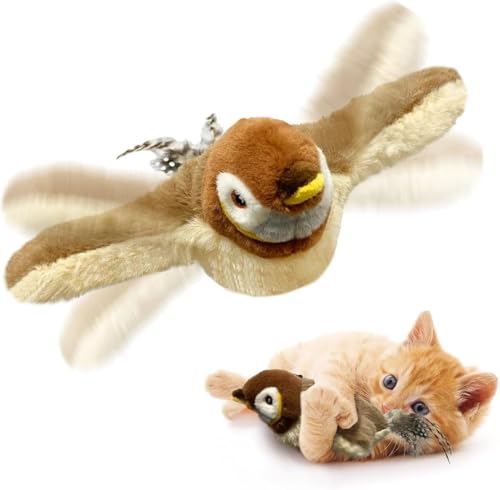 ђ˂钹AUSB[dAXgbvfUCAO\Ő􂦂A͑C^NeBuL̂AH΂L̂AL̔ԒL̂A͑钹L̂̉H΂AqL̉^ɍœKAӂӂ̂ʂݔLƌ̂Aybg