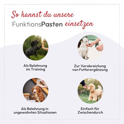 PHA BeruhigungsPaste Hund - Natürliches Beruhigungsmittel für Hunde bei Silvester, Angst & Stress, Autofahrt, Tierarzt, Beruhigung Hund, Entspannungs- & Anti-Stress-Mittel