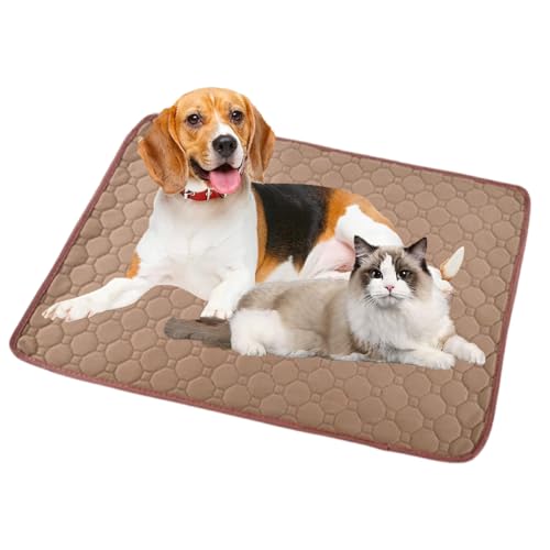 􂦂 JԂp\  xbh NbV ybgp }bg h z h ~ }bg  L ybǧNԂ̊ώ@ qƃVjÃgCg[jO