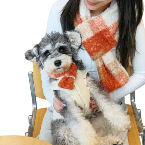 Diexgiy eq}t[ 2_Zbg ybgp}t[ C^NeBufUC g H~ ^E^ELɍœK Mtg zf[ a p[eB[ X^C (IW,XL)