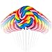 12 Large Swirl Lollipops, Rainbow, 3-Inch Suckers, Great Party Favors Holliday Decoration, Carnival Lollipos Great For Thanksgiving Sweet Treats