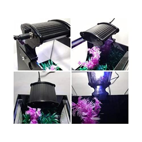 KIT Decoração para Aquário Pequeno Lâmpada LED Bivolt + Cascalho + Planta