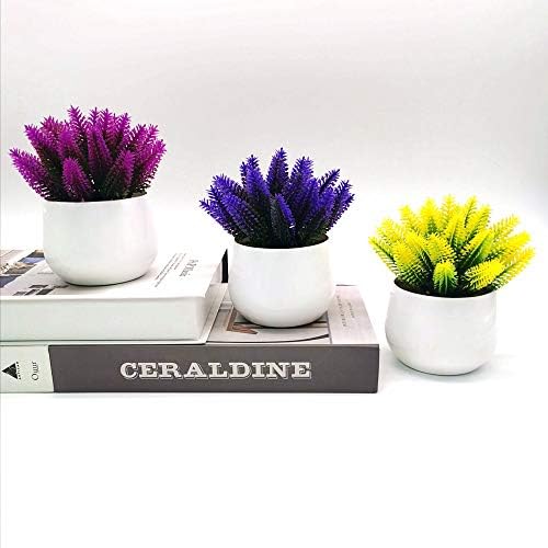 Fycooler Artificial Shrubs Succulents Plants Potted Set - Decorative Fake Succulent Plant Faux Plastic Plant Greenery Indoor & Outdoor House Office Desk Bathroom Kitchen DIY Decor Gift Set of 4