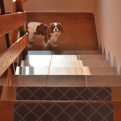 Alfombrillas para escaleras interiores y exteriores ideales para proteger a su familia y mascotas 5