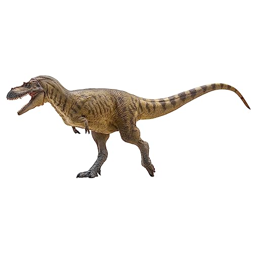 Dinosaure Albertosaurus 72 AMITD pour décorer une chambre d'enfant passionné d'histoire
