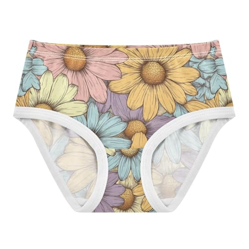 ZZKKO Farmhouse Daisy Flower Girls Underwear Toddler Panties for Girls Comfort Brief Size 2T-8Y