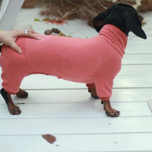 Rollkragenpullover für Dackel-Hunde – Warme Winterkleidung für Dackel, Winteroutfit für Teckel (Rot, M)