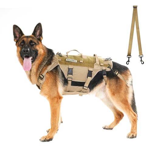 DAISTERN Dog Lift Harness for Large Dogs, Breathable Mesh, Quick Release, 3 Handles, Support, Green, M