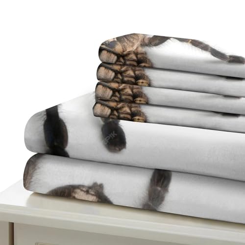 Parure de lit araignée 3D housse de couette microfibre 200x200cm avec taies d'oreiller