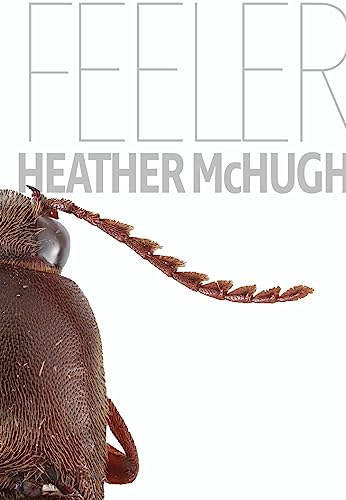 Feeler (Quarternote Chapbook Series)