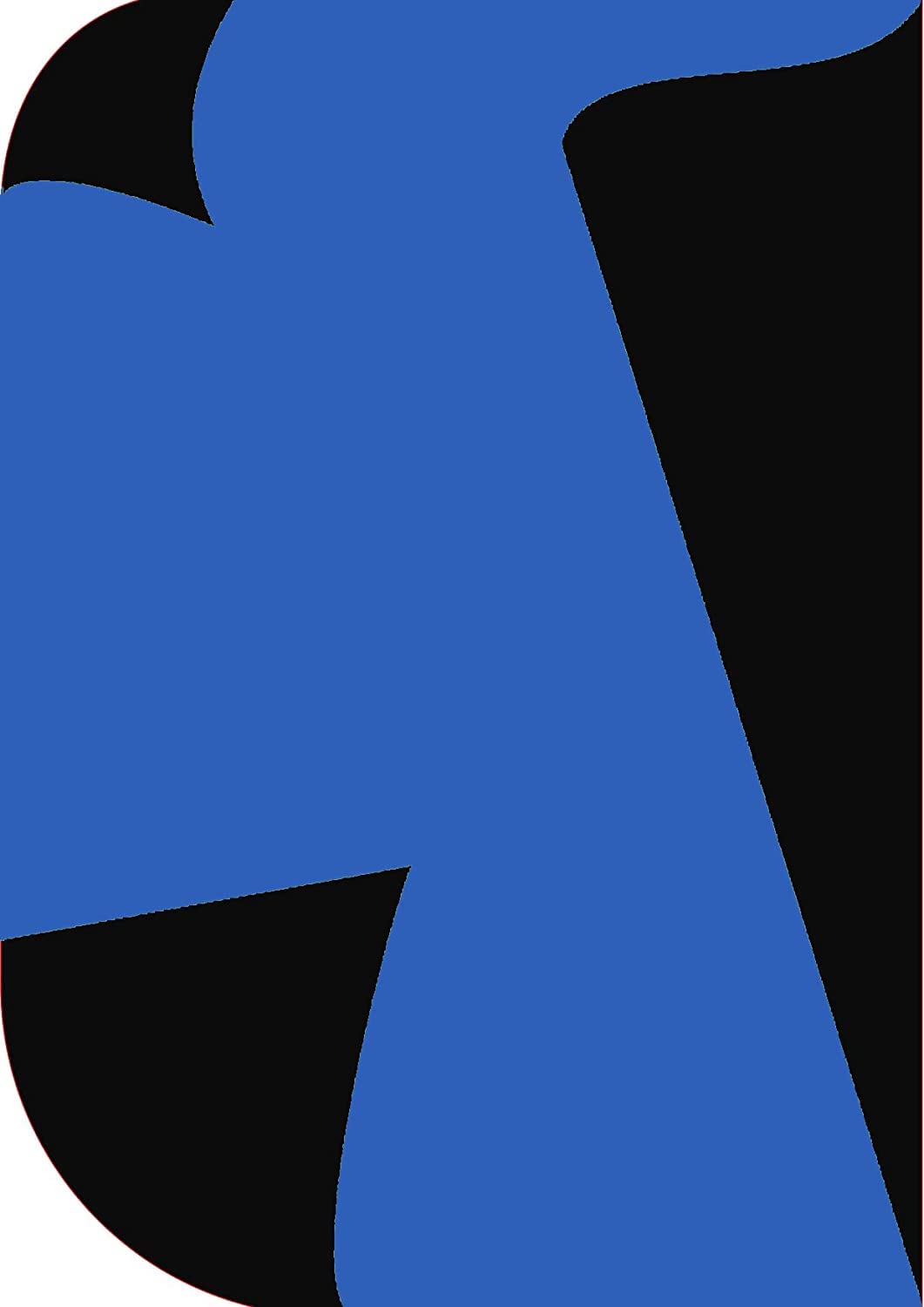 Cam Cart 8X 12ft,2 in 1 Colors Single Photography Backdrop (Black & Night Sky 2 in 1)