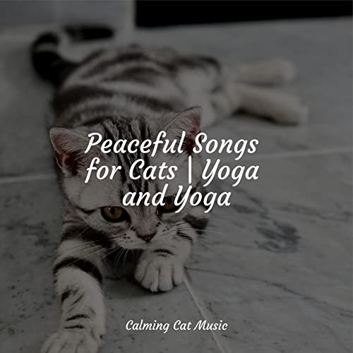 Photo inspiration: Visual Reference: Amazon Music Cat Music Therapy Jazz Music Therapy For Cats