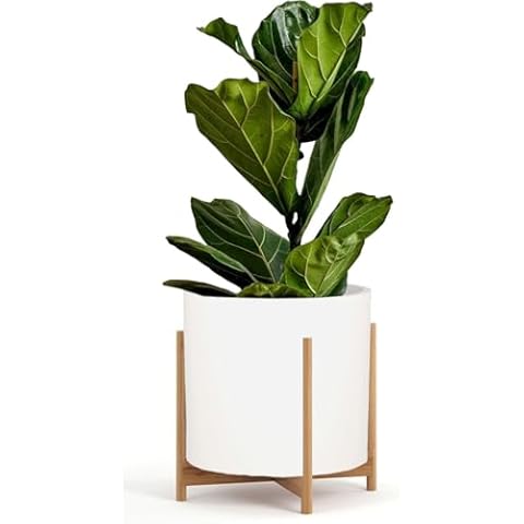 Fox & Fern 14.6 Inch Fiberstone Planter with Mid Century Bamboo Plant Stand Cover