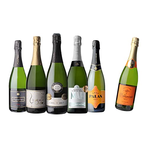 シャンパン製法入り 超コスパ 極上辛口スパークリング5本セット ワインセット スパークリングワイン 泡 御...