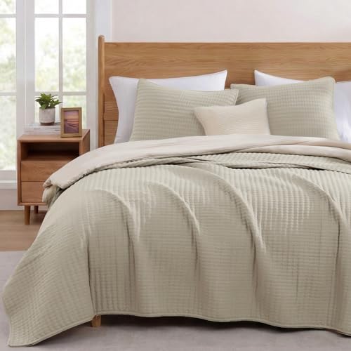 WRENSONGE Queen Quilt-3 Pieces Lightweight Bedspreads Light Oatmeal Queen Size