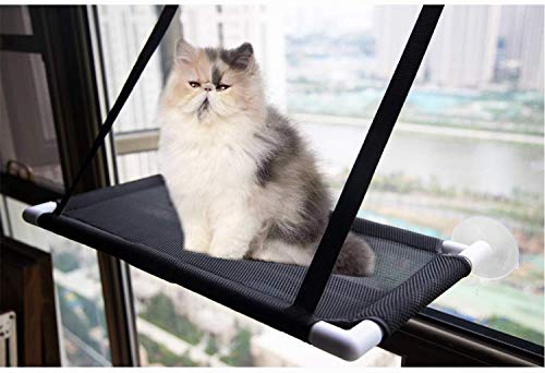 David City Cat Window Perch, Cat Sunbathing, Cat Hammock Can Place to Any