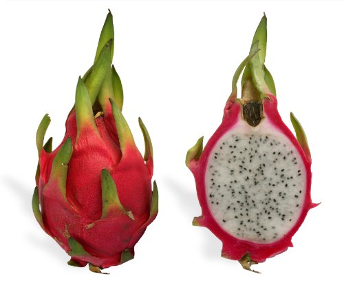 10 Sementes de Pitaia - Pitaya - Fruta Dragão