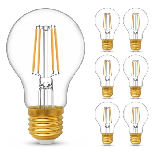 YOUDIAN LED E27 Edison Screw Bulb,Warm White 2700K,60 Watts Equivalent,6W ES Bulbs,Screw in Light Bulb,A60 Clear LED Filament Energy Saving Light Bulbs,600 Lumen,Non-Dimmable,Pack of 6