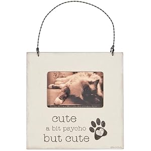 Primitives by Kathy A Bit Psycho Mini Frame