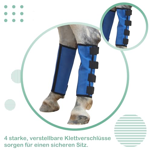 Guêtres anti-mouches cheval légères et antidérapantes lot de 4 L
