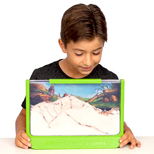 Uncle Milton Giant Ant Farm - Large Viewing Area - Care for Live Ants - Nature Learning Toy - Science DIY Toy Kit… - Image 5