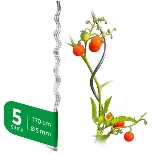 Novatool 5 Stück Tomatenstäbe 170 cm x 5 mm Ø Tomatenspiralstäbe verzinkt Rankstäbe Tomatenstangen 110cm Tomaten Rankhilfe Pflanzstäbe...