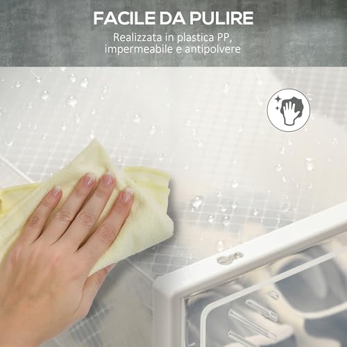 Homcom Scarpiera Modulare Con 8 Cubi Contenitori E Porta Magnetica, Cubi Portaoggetti In Pp, 25X35X19 Cm, Bianco E Trasparente - 7