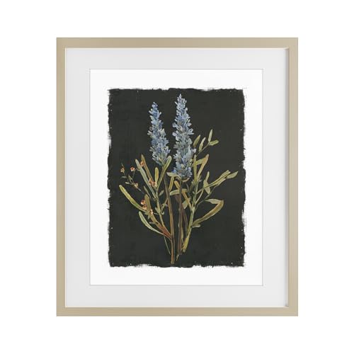 'Lavender Sprigs on Dark Background'| Framed Print Under Glass