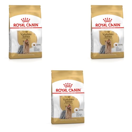 Royal Canin Yorkshire Terrier Adult | Paquete Triple | 3 x 500 g | Pienso para Yorkshire Terriers Adultos | A Partir de los 10 Meses de Edad | para favorecer un envejecimiento Saludable
