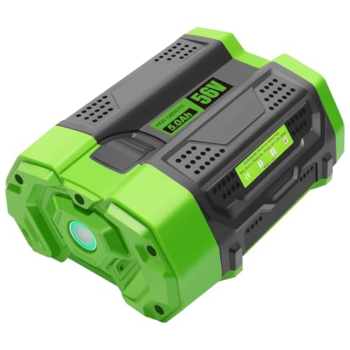 waitley 56V 5.0Ah Replacement Battery EGO 56-VoIt BA2800T