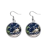 Classification: Earring la lumière ours blanc nature Boucle d\'oreille en argent.