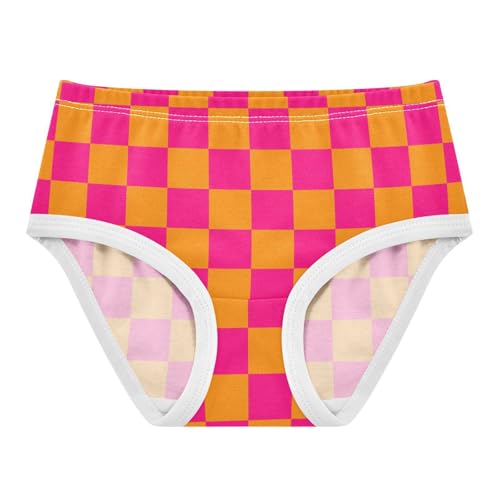 Pink and Orange Buffalo Checkered Toddler Girls's Underwear 2T