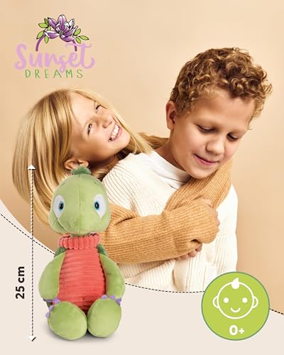 NICI Kuscheltier Schildkröte Tateus 25cm - Plüschtier zum Kuscheln und Liebhaben, Nachhaltig produziertes Stofftier aus recycelten Materialien – 49791